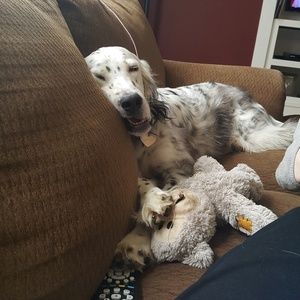 Meet your Posher, Diane